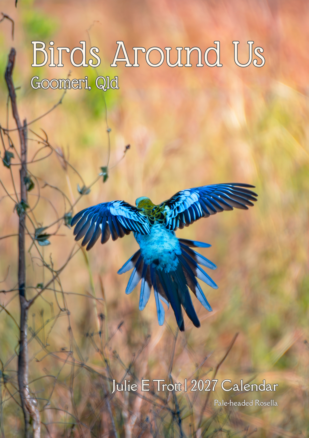 2027 Birds Around Us Wall Calendar