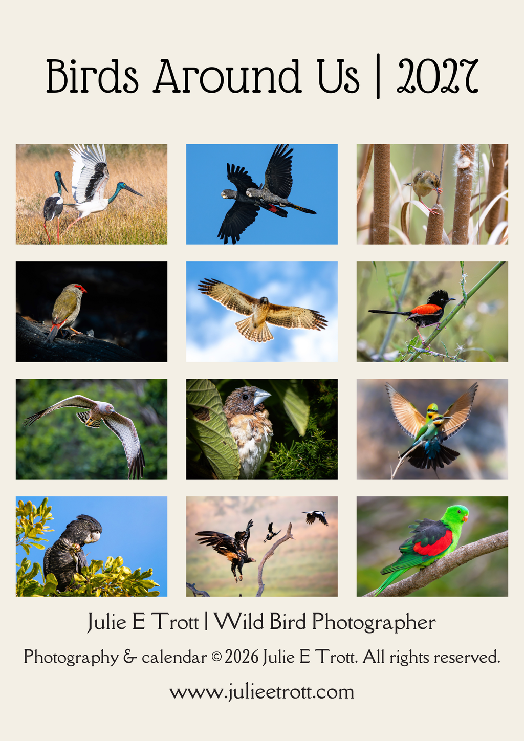 2027 Birds Around Us Wall Calendar