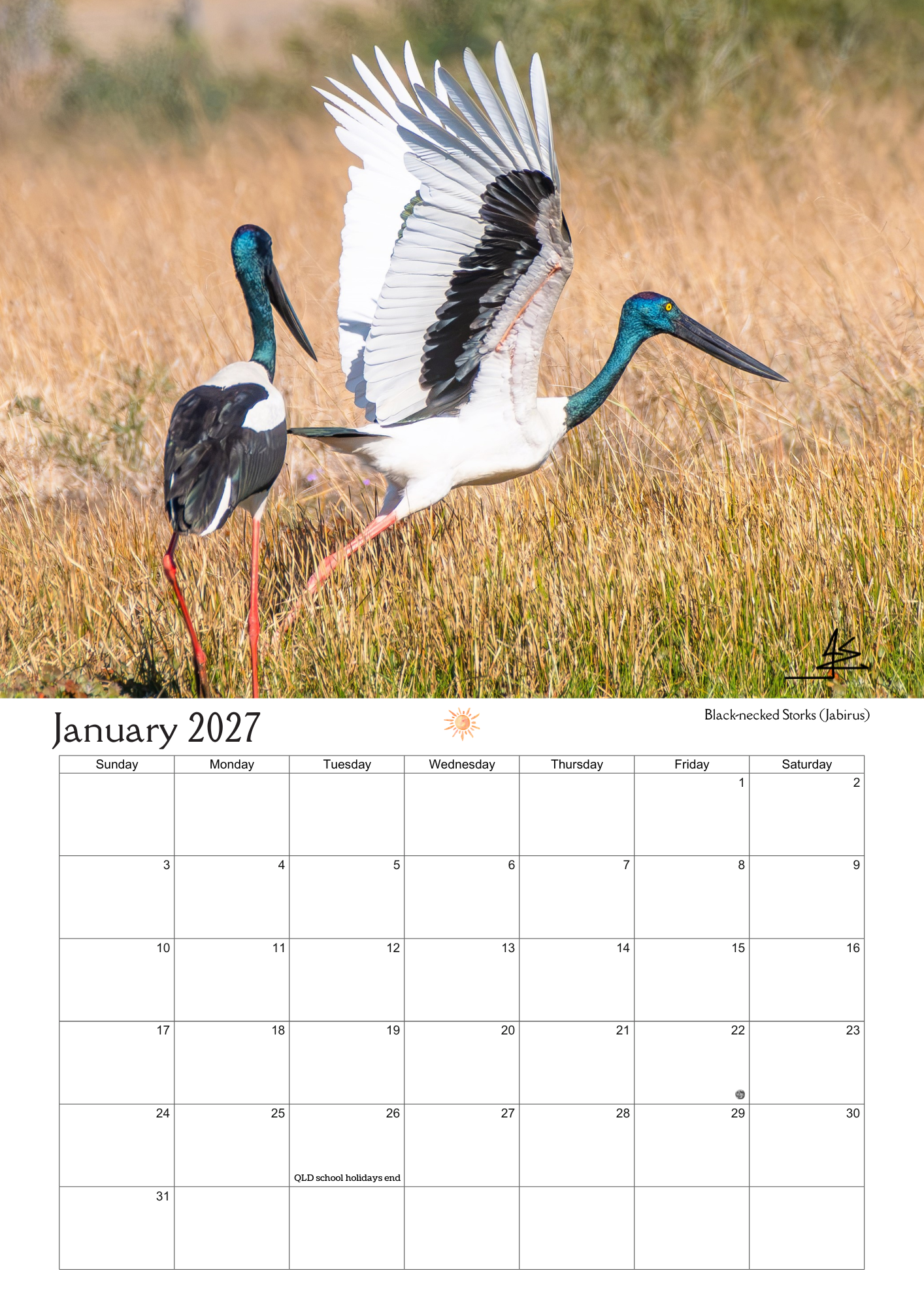 2027 Birds Around Us Wall Calendar