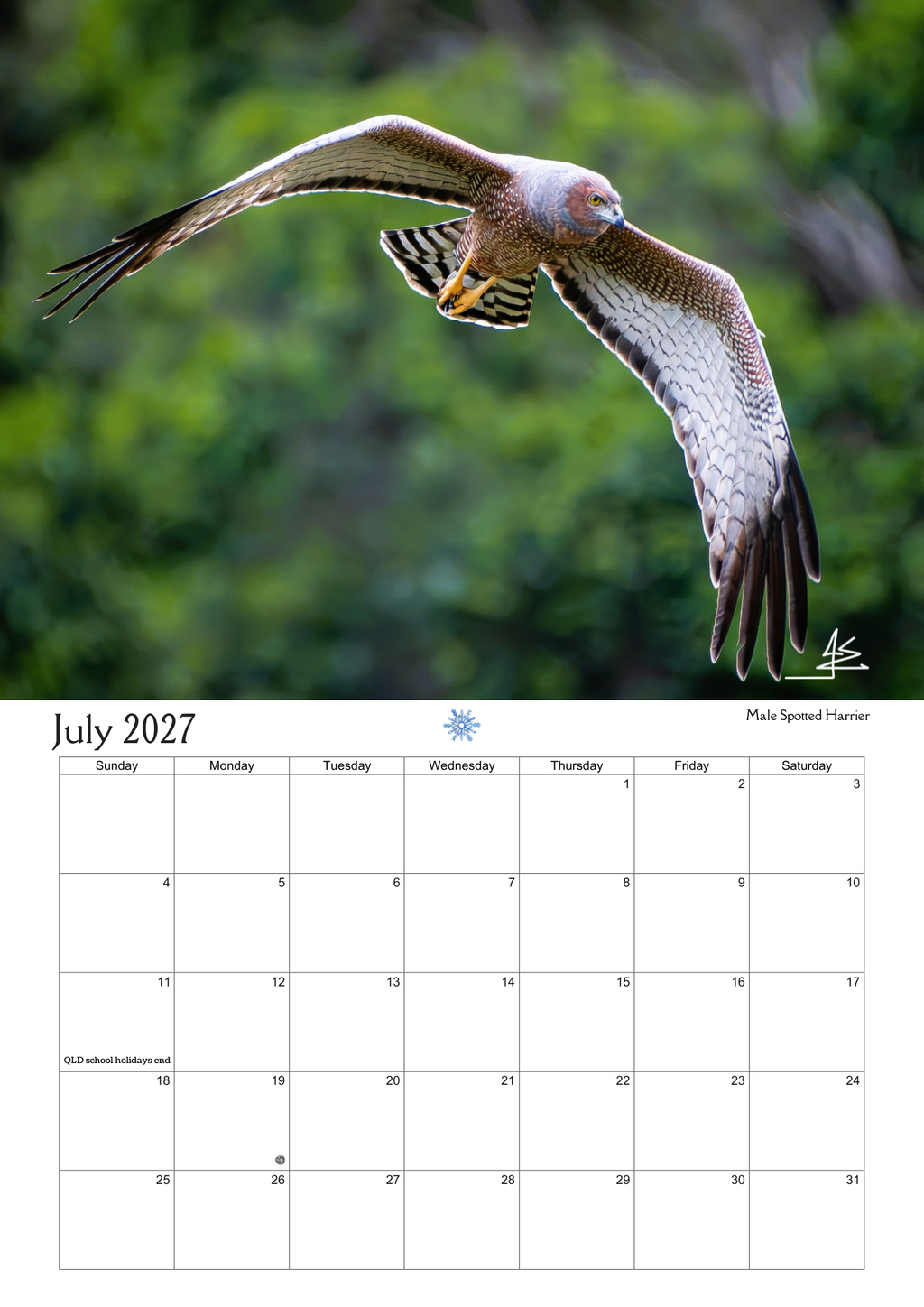 2027 Birds Around Us Wall Calendar