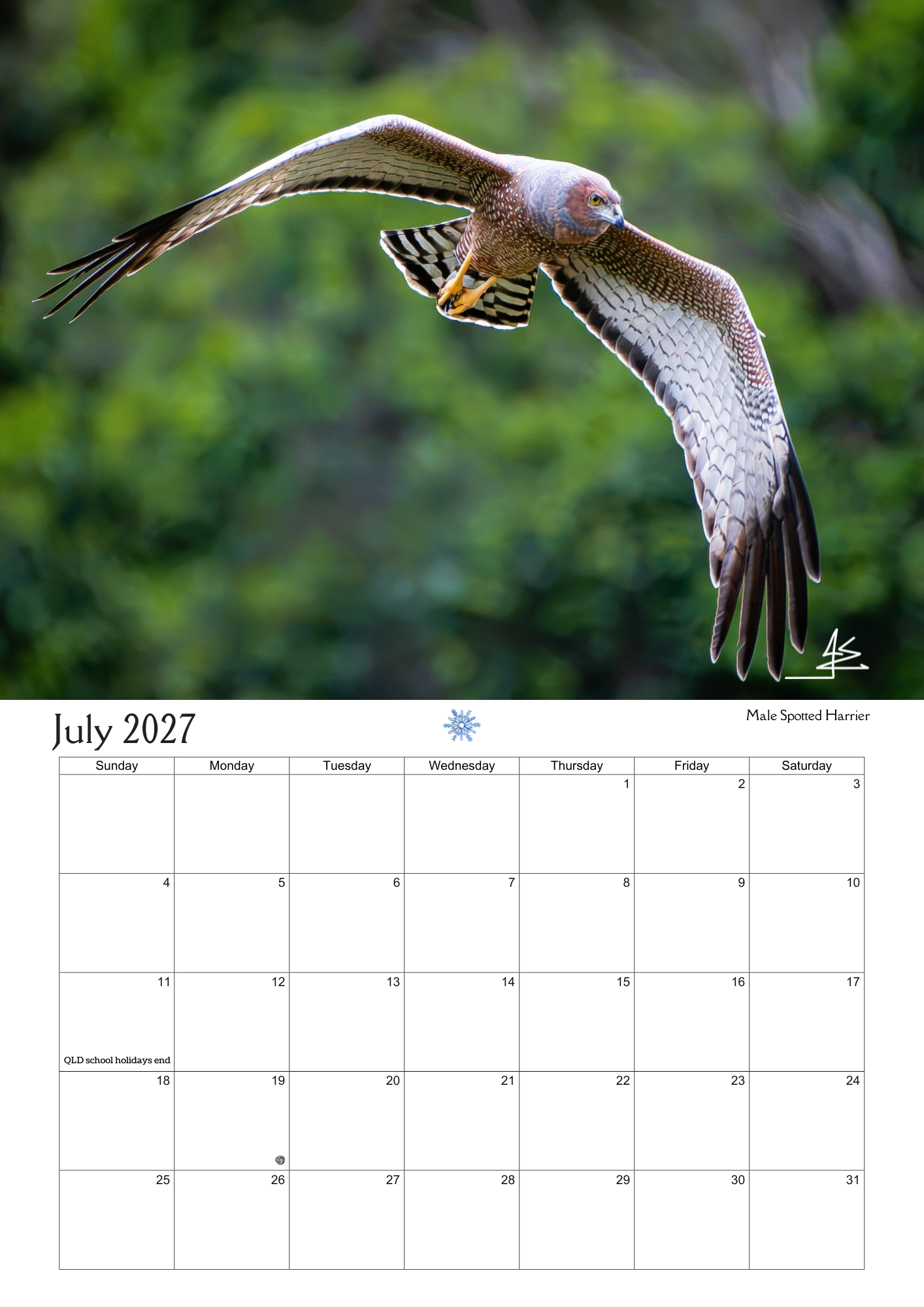 2027 Birds Around Us Wall Calendar