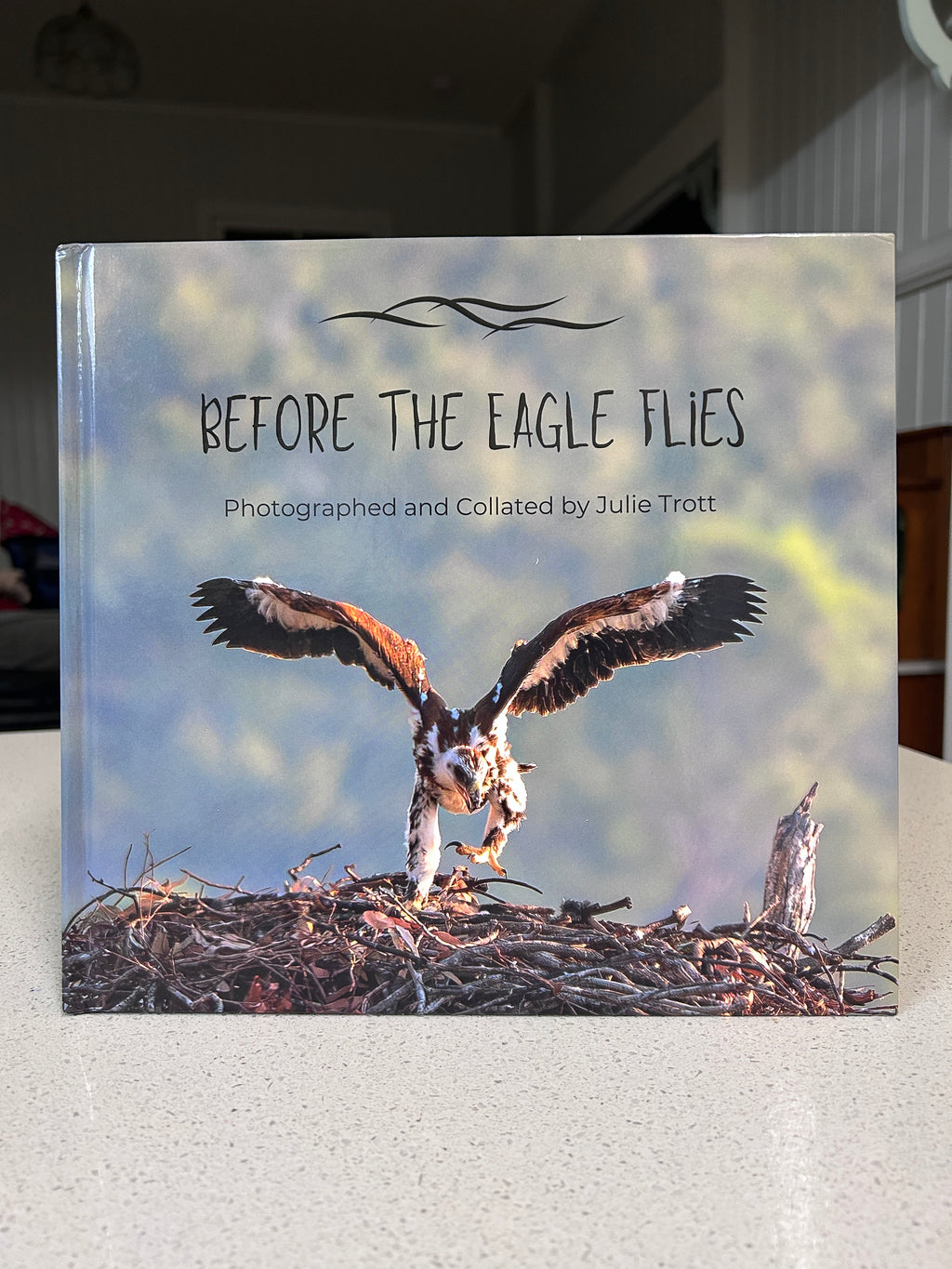 Before the Eagle Flies