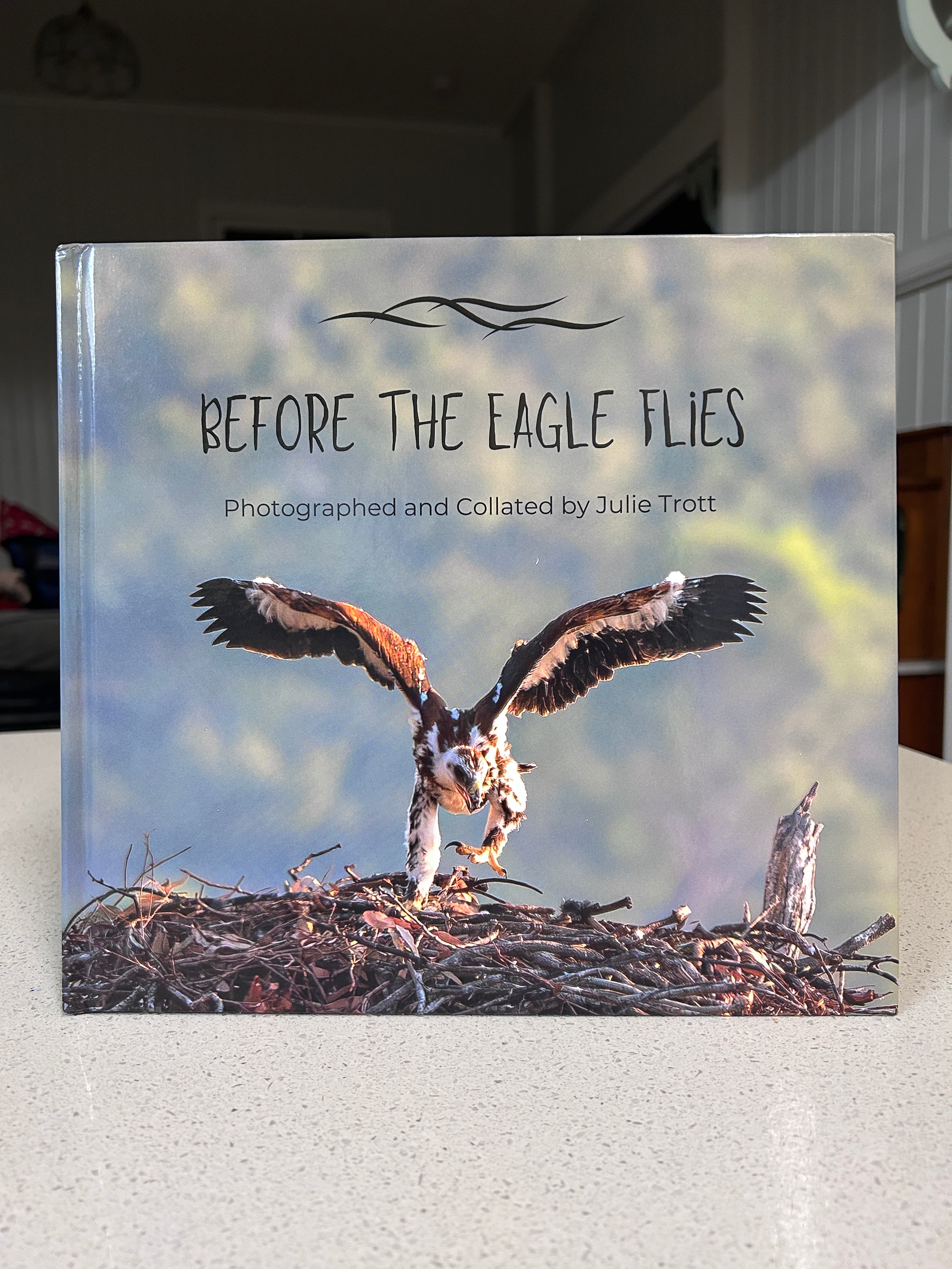 Before the Eagle Flies
