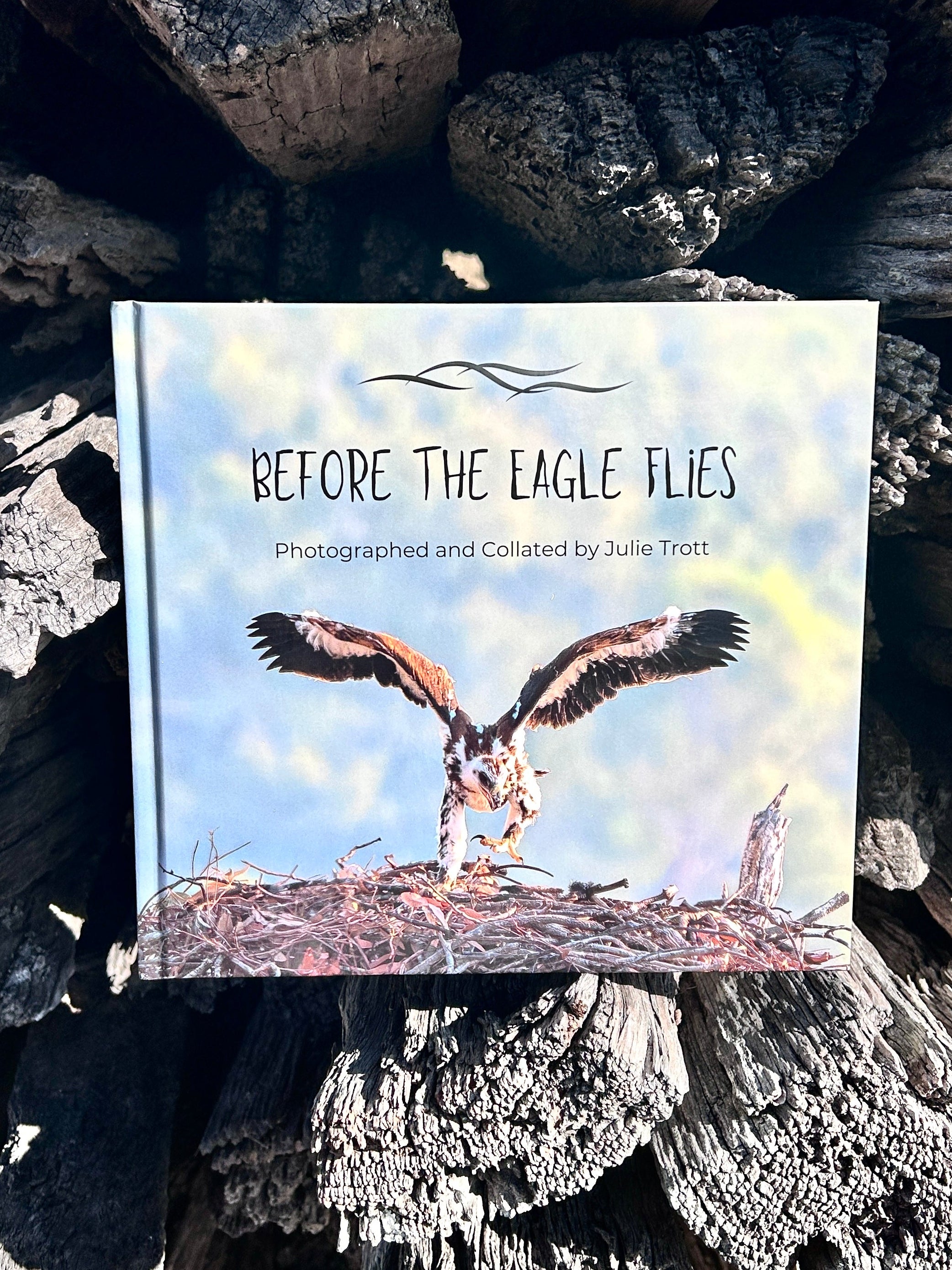 Before the Eagle Flies